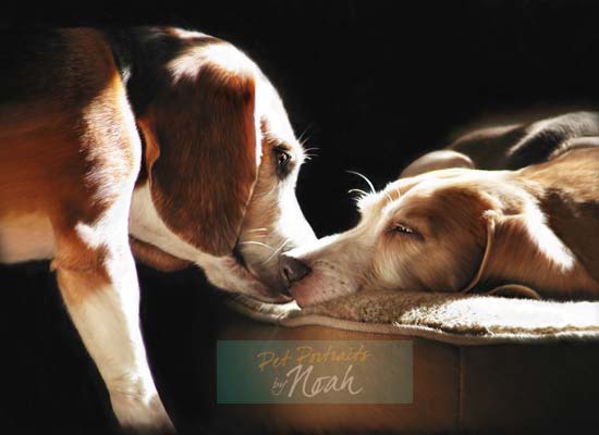 traditional life-like pet portrait of two dogs 