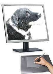 Dog image on screen