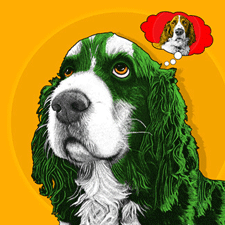 molly-spaniel pop art