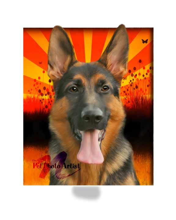 GERMAN SHEPHERD PORTRAIT - BARON