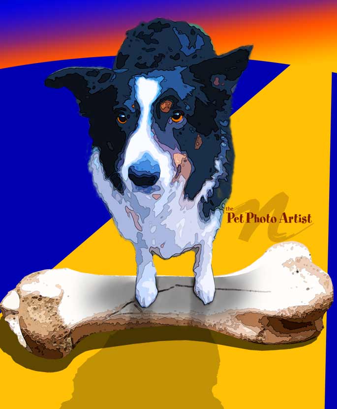 pop art portrait of Rascal guarding bone