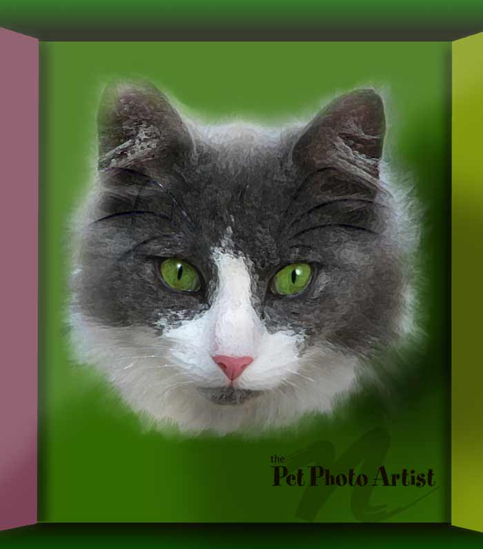 popart cat-bentley