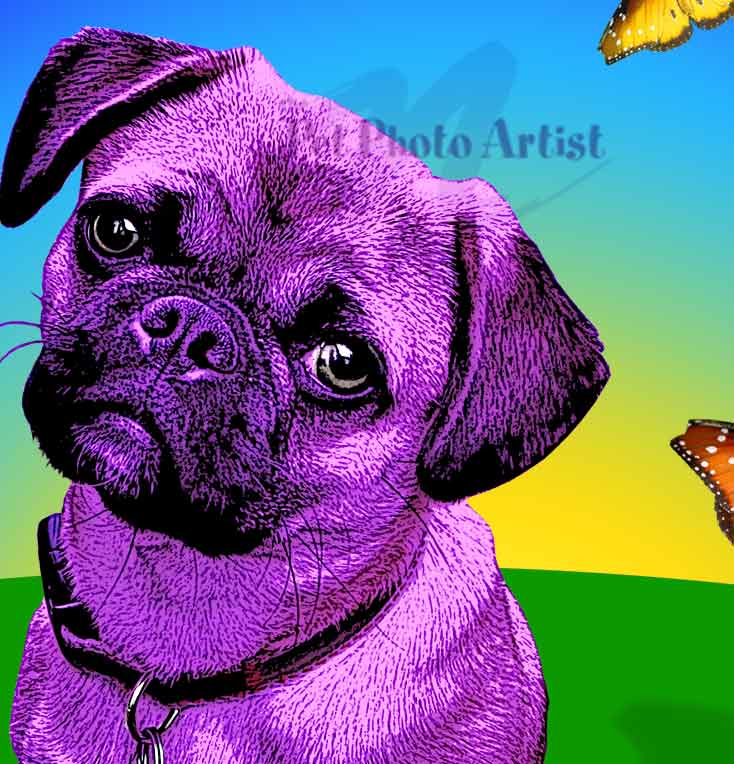 POP ART sof Violet