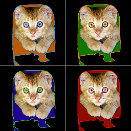 cat portrait - four panels