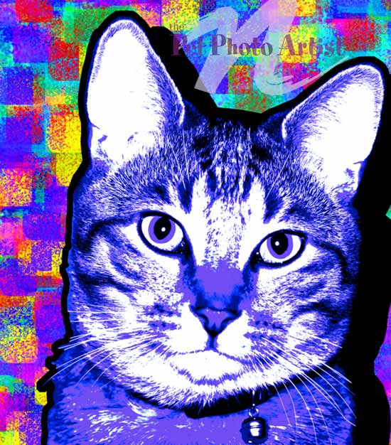 pop art cat-princess