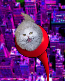 fun pop art cat portrait of cat on a pole