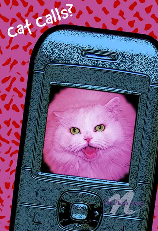 Pop Art CatS