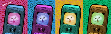 4 panel pop art poster of catcat