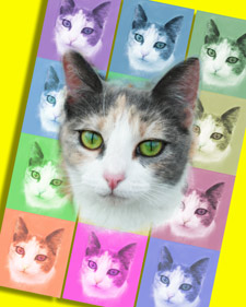cat art portrait - pop art style