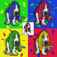 pet pop art of Dudley