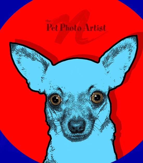 popart chihuahua