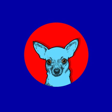 pop-art-chihuahua